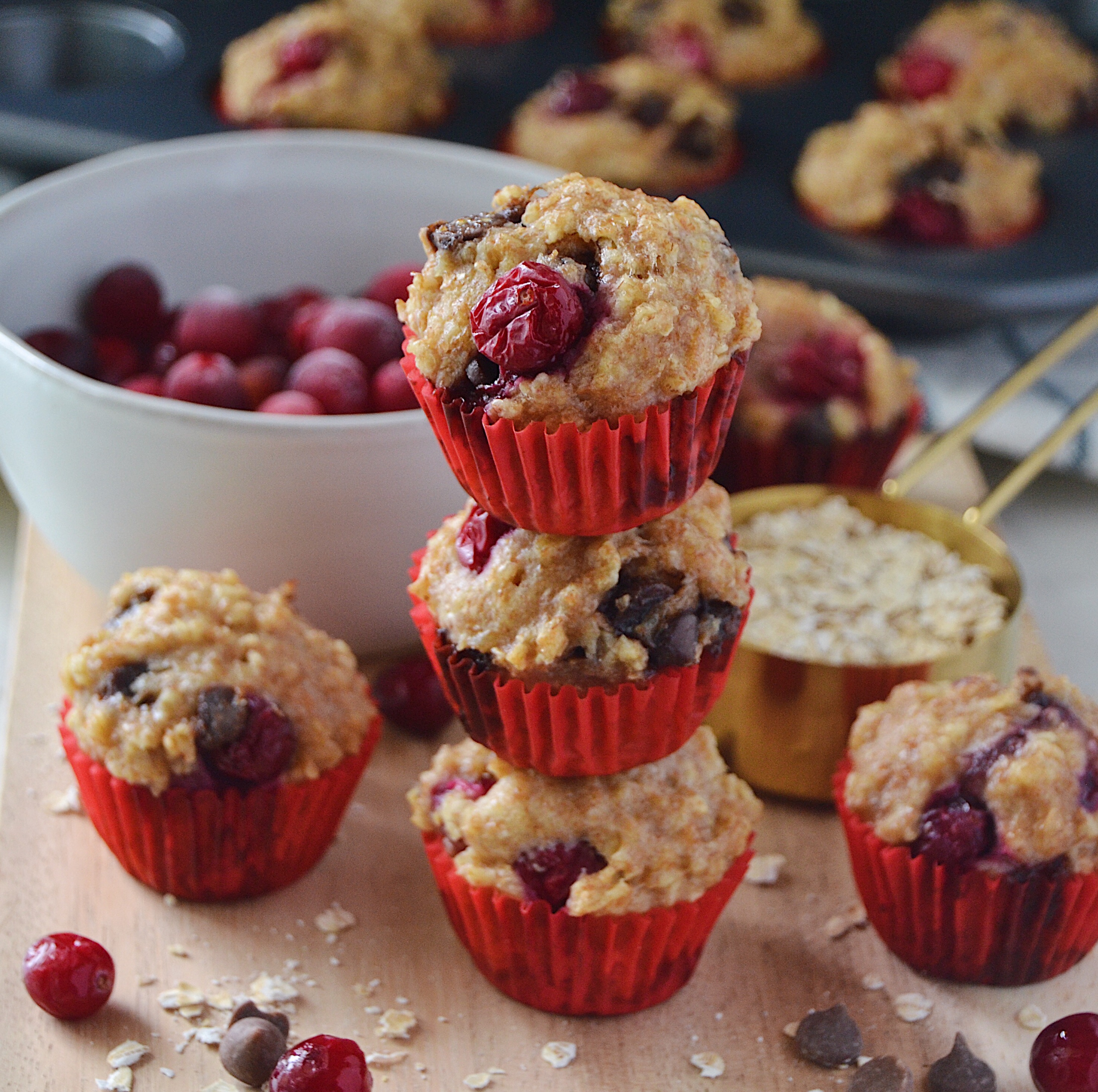 Cranberry Carob Chip Oatmeal Muffin Pupcakes recipe for the dog you love to spoil