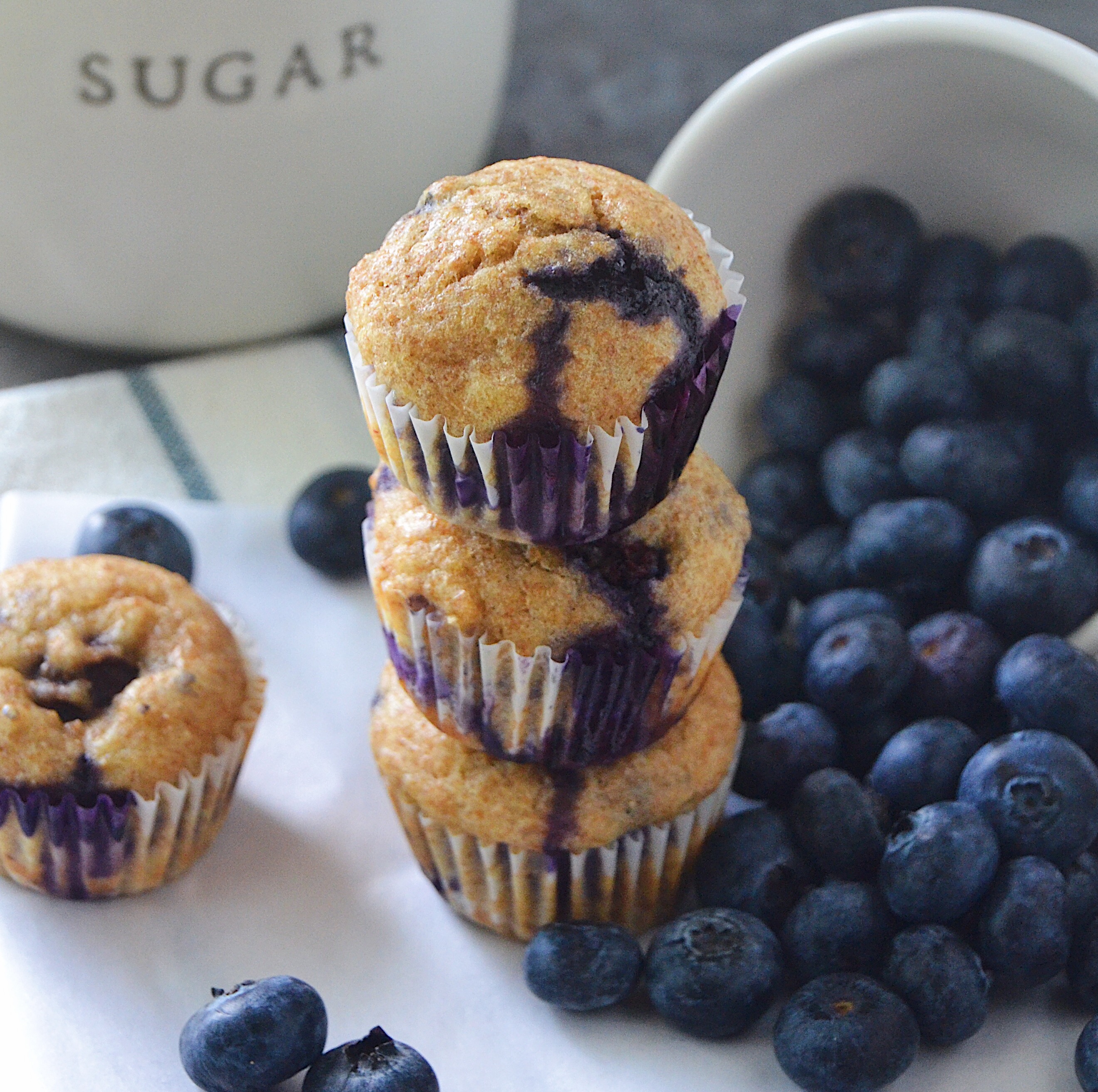 Blueberry Muffin Pupcake recipe for the dog you love to spoil