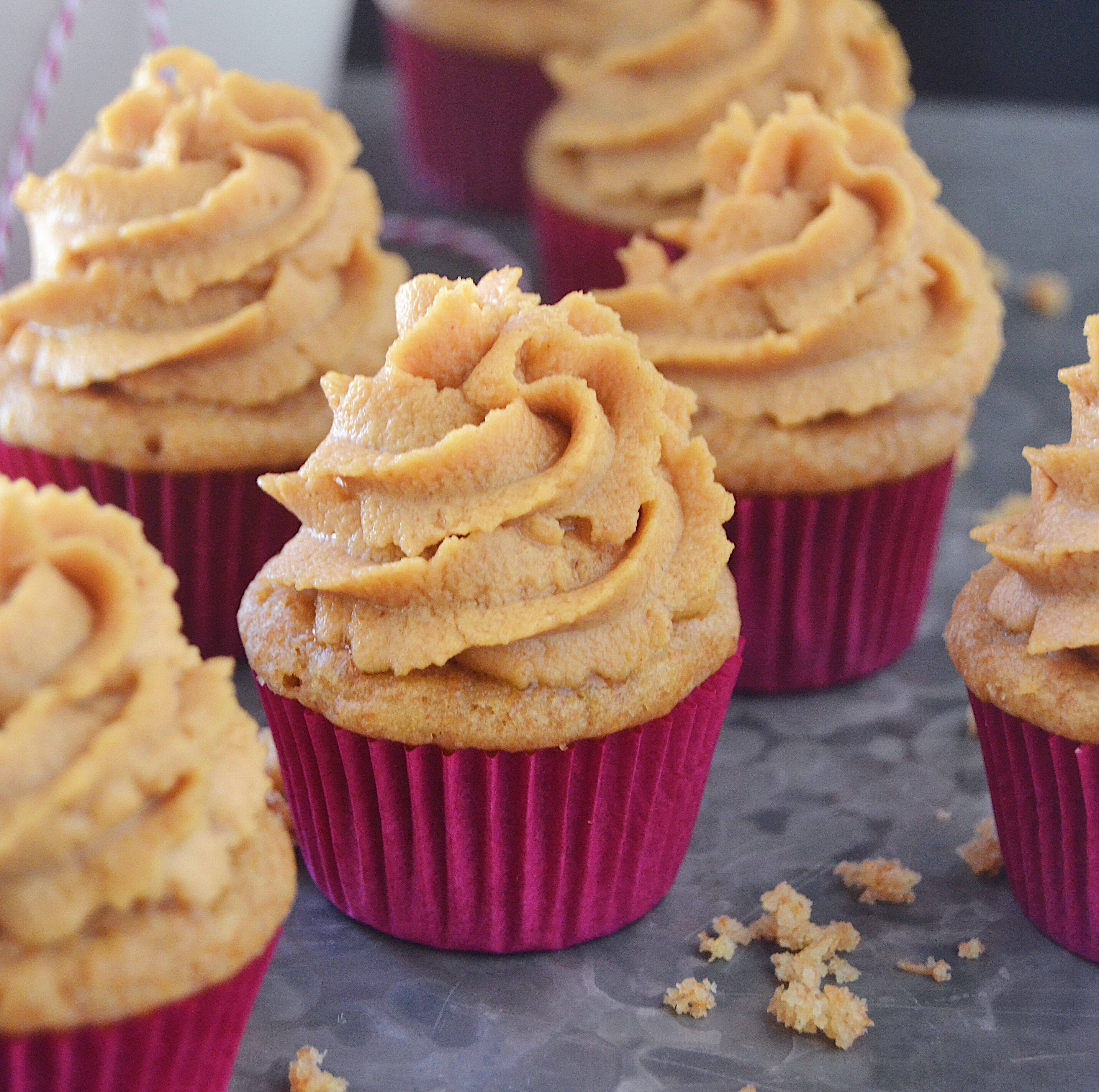 Sugar's Sweet Cake Pupcakes With Peanut Butter Frosting dog treat recipe