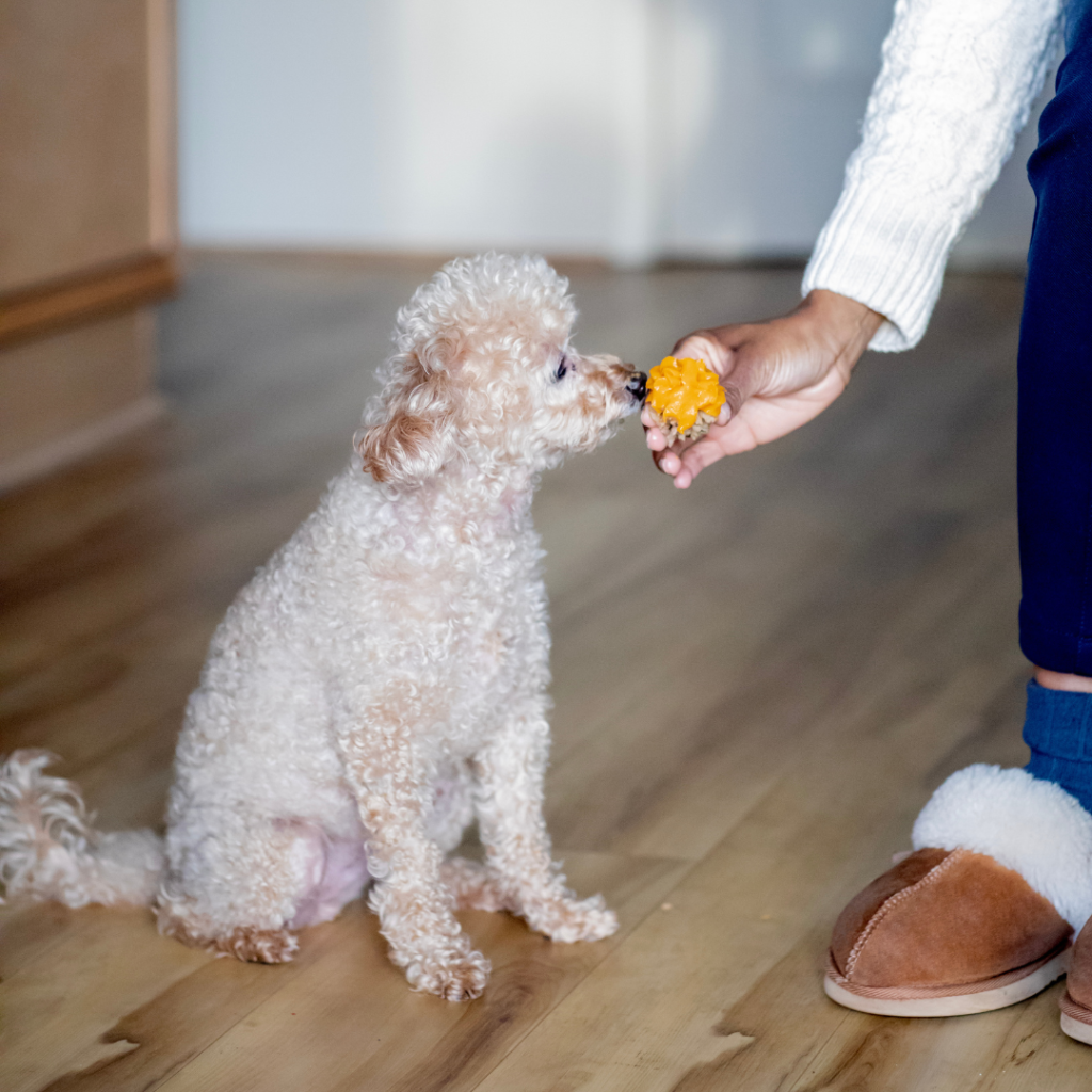 How To Repurpose Your Leftovers Into A Pupcake Recipe Pupcake Sugar