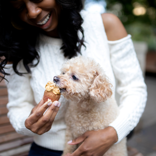 The Dog Mom’s Guide to Baking Pupcakes with Clean Foods for Her Dog