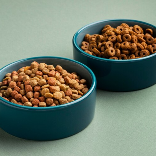 Understanding Pet Food Labels: What to Look For