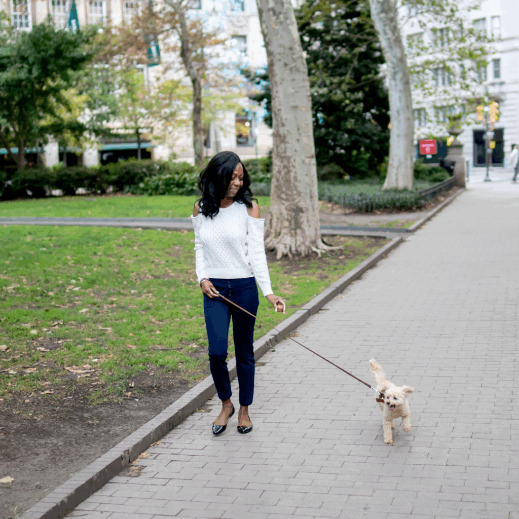 Potty Training Your Dog: The Costs & Budget for Dog Moms